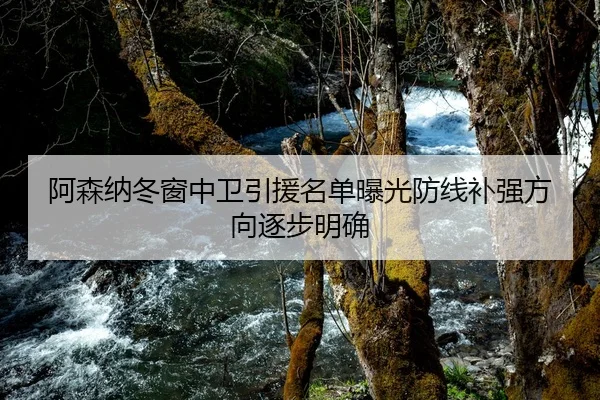阿森纳冬窗中卫引援名单曝光防线补强方向逐步明确