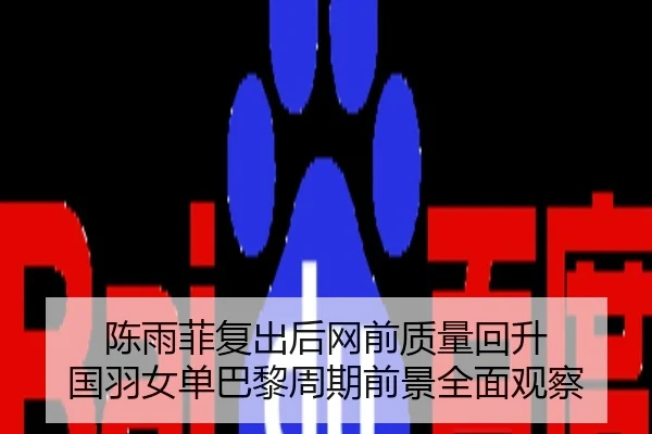 陈雨菲复出后网前质量回升 国羽女单巴黎周期前景全面观察